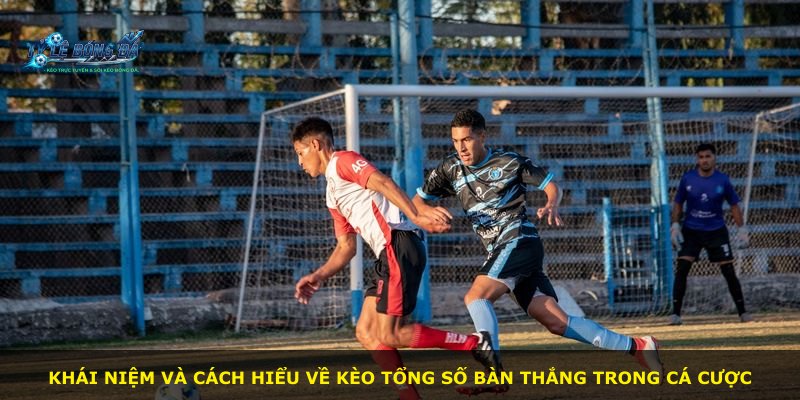 Khái niệm và cách hiểu về kèo tổng số bàn thắng trong cá cược