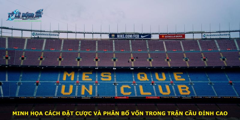 Minh họa cách đặt cược và phân bổ vốn trong trận cầu đỉnh cao